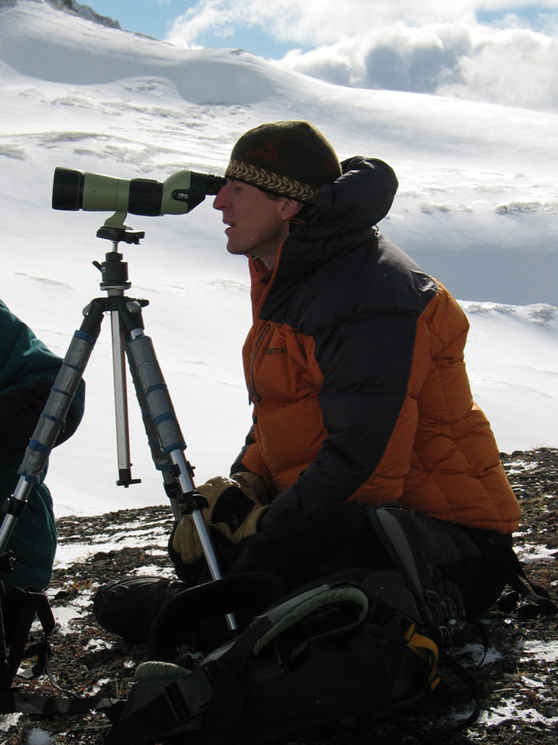 Caribou research